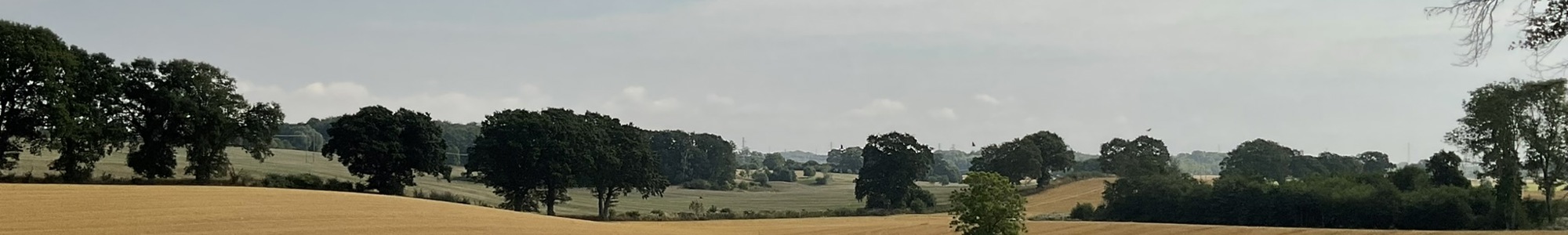 IMG 0007